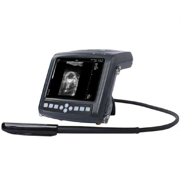 УЗИ аппарат для КРС и средних животных Kaiksin KX5200